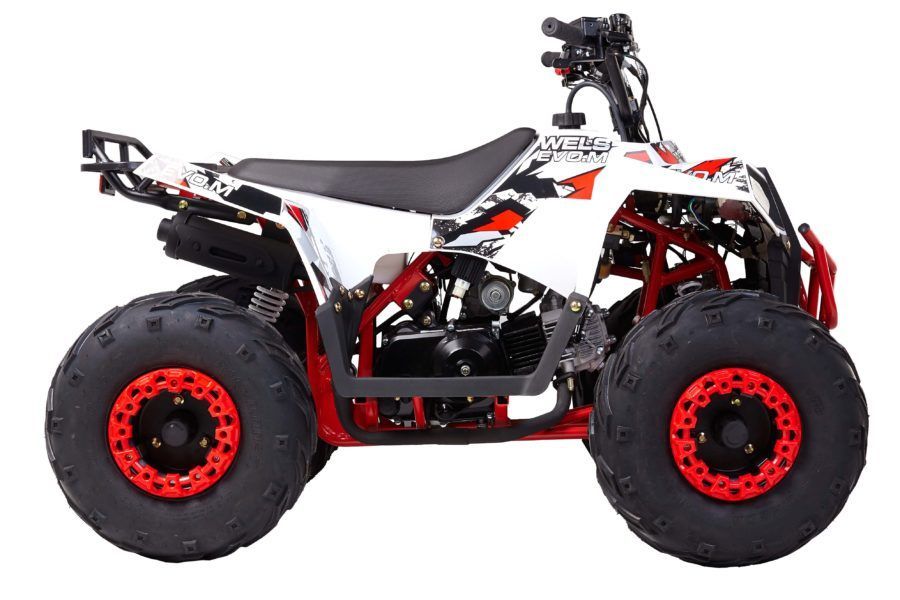 Квадроцикл WELS Thunder EVO 110 M