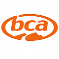 BCA