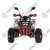 Квадроцикл WELS Thunder EVO 125X ST